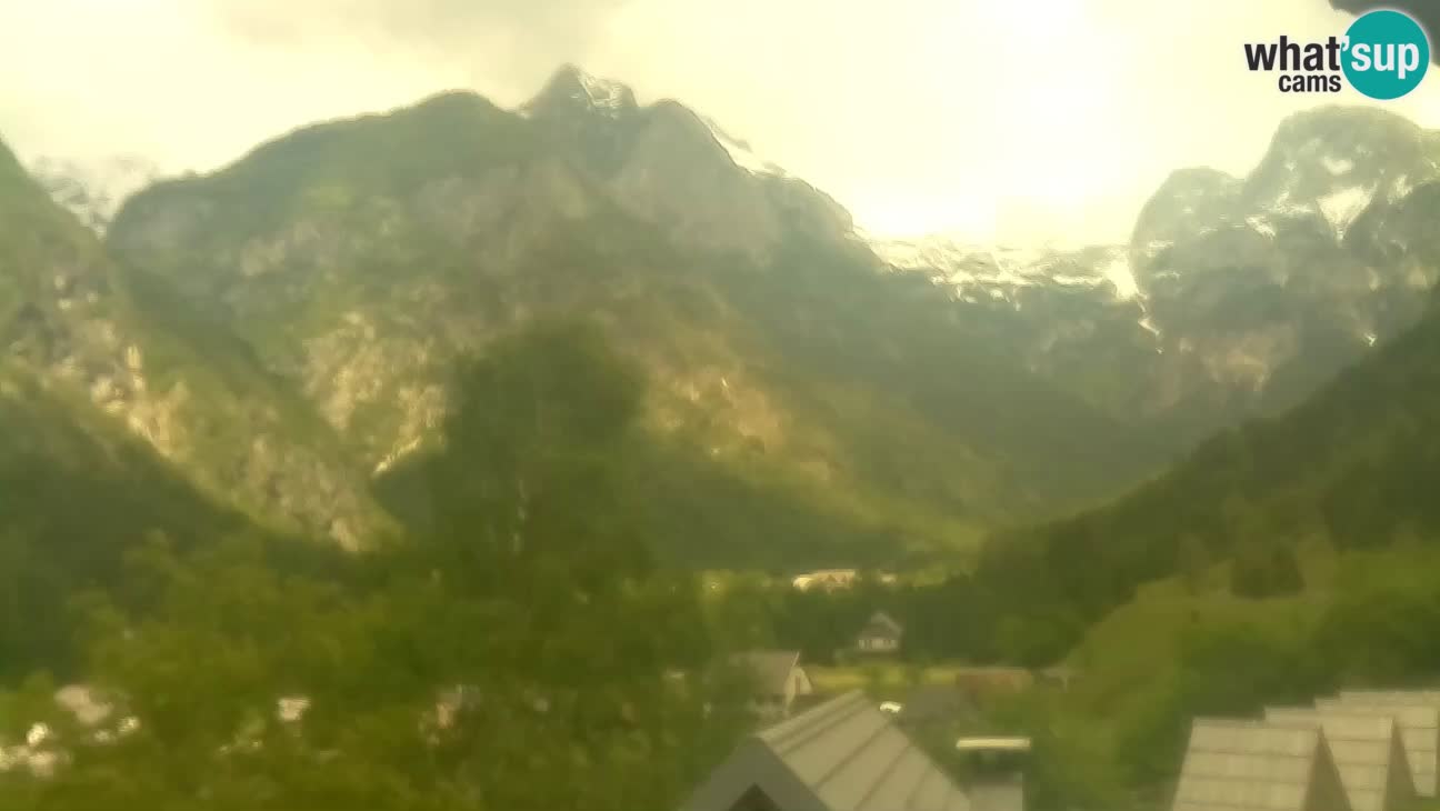 Webcam Trenta – View of Šplevt, Pihavec and Prisojnik
