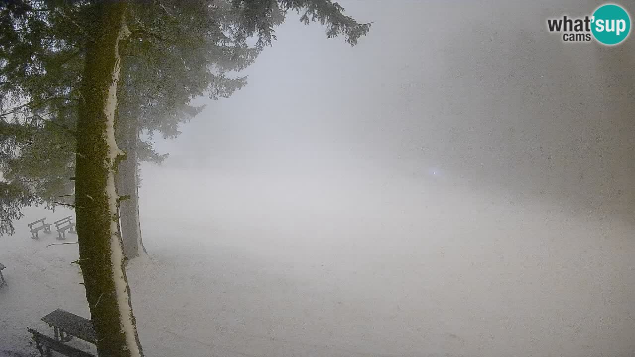 Trije Kralji – Črno jezero – Hotel Jakec