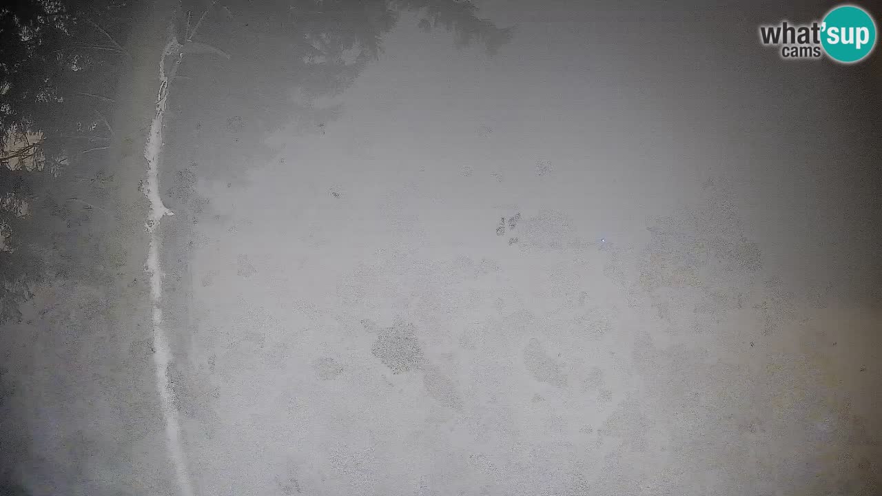 Trije Kralji – Črno jezero – Hotel Jakec