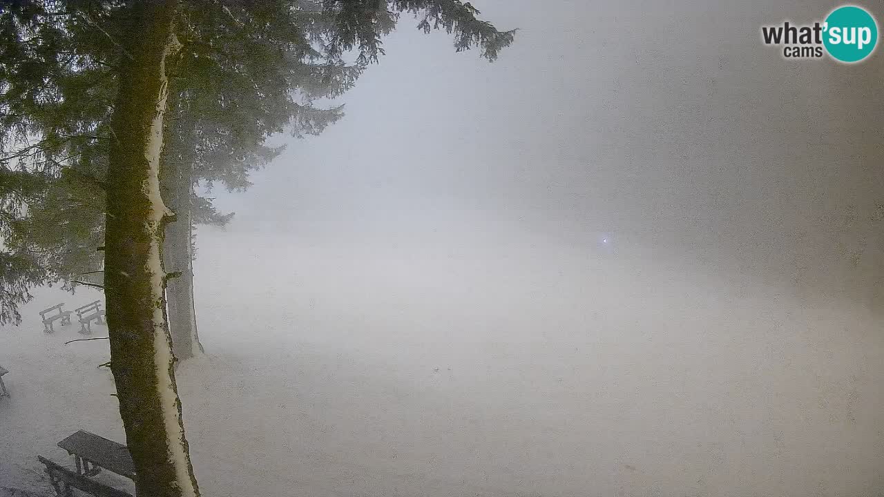 Trije Kralji – Črno jezero – Hotel Jakec