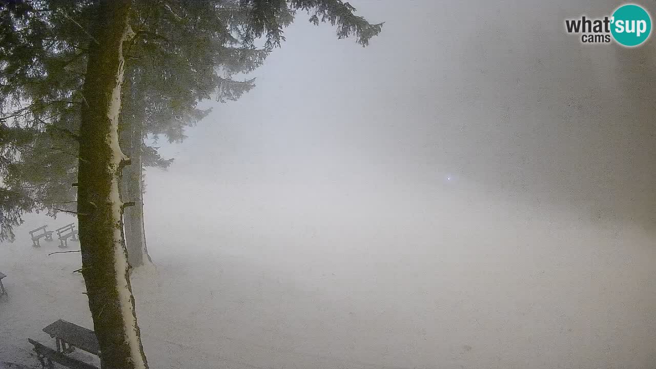 Trije Kralji – Črno jezero – Hotel Jakec