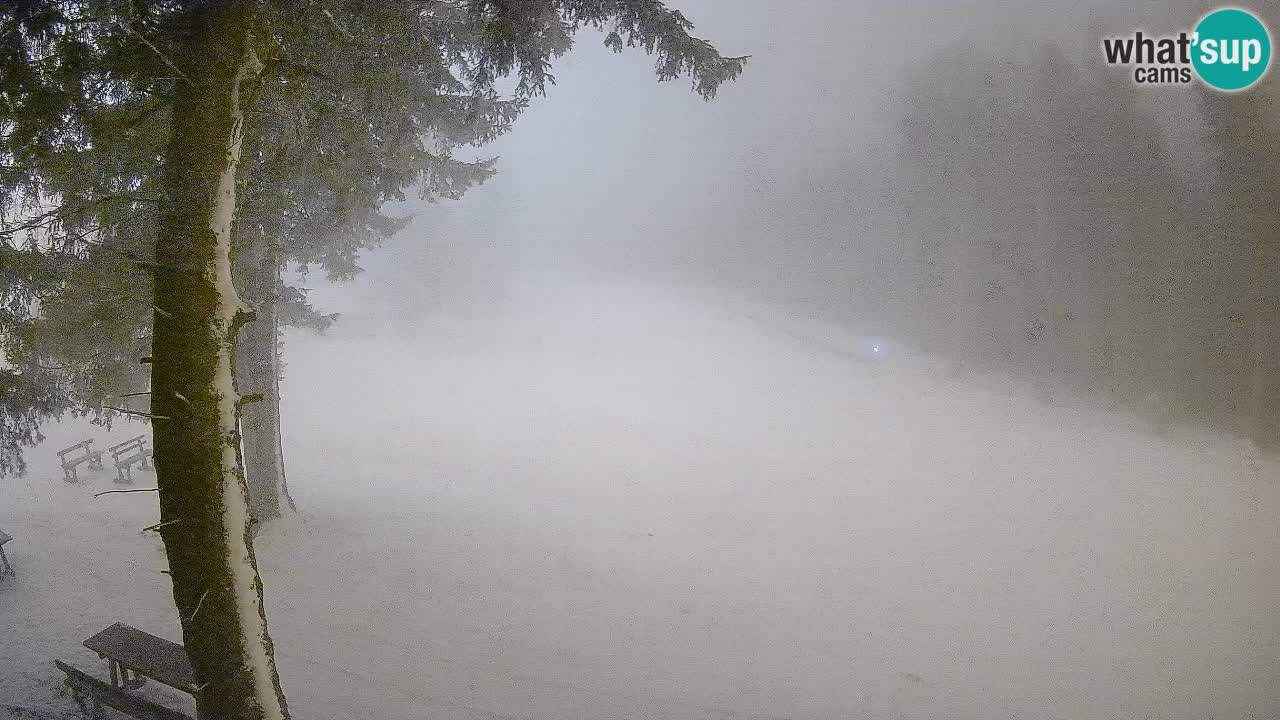 Trije Kralji – Črno jezero – Hotel Jakec