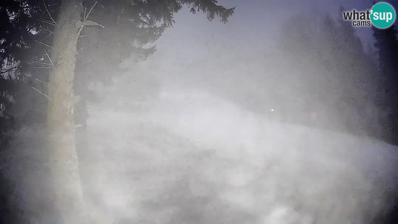 Trije Kralji – Črno jezero – Hotel Jakec