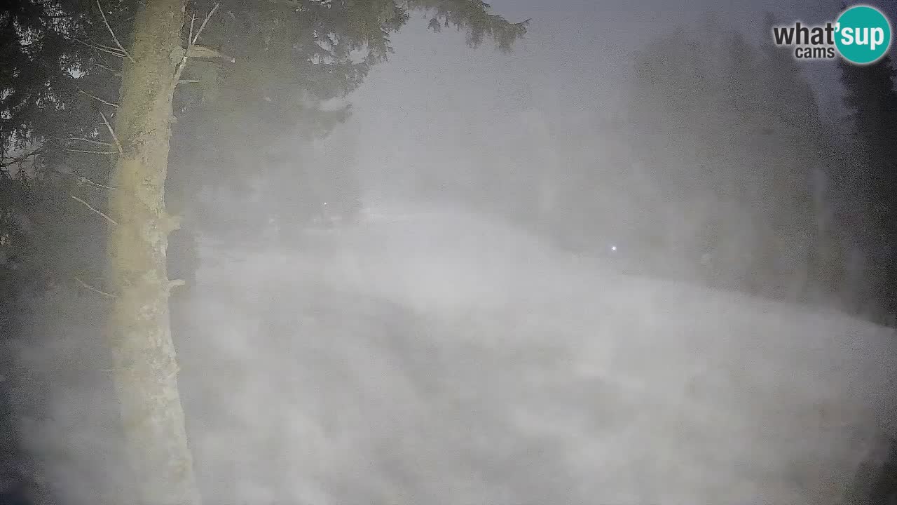 Trije Kralji – Črno jezero – Hotel Jakec