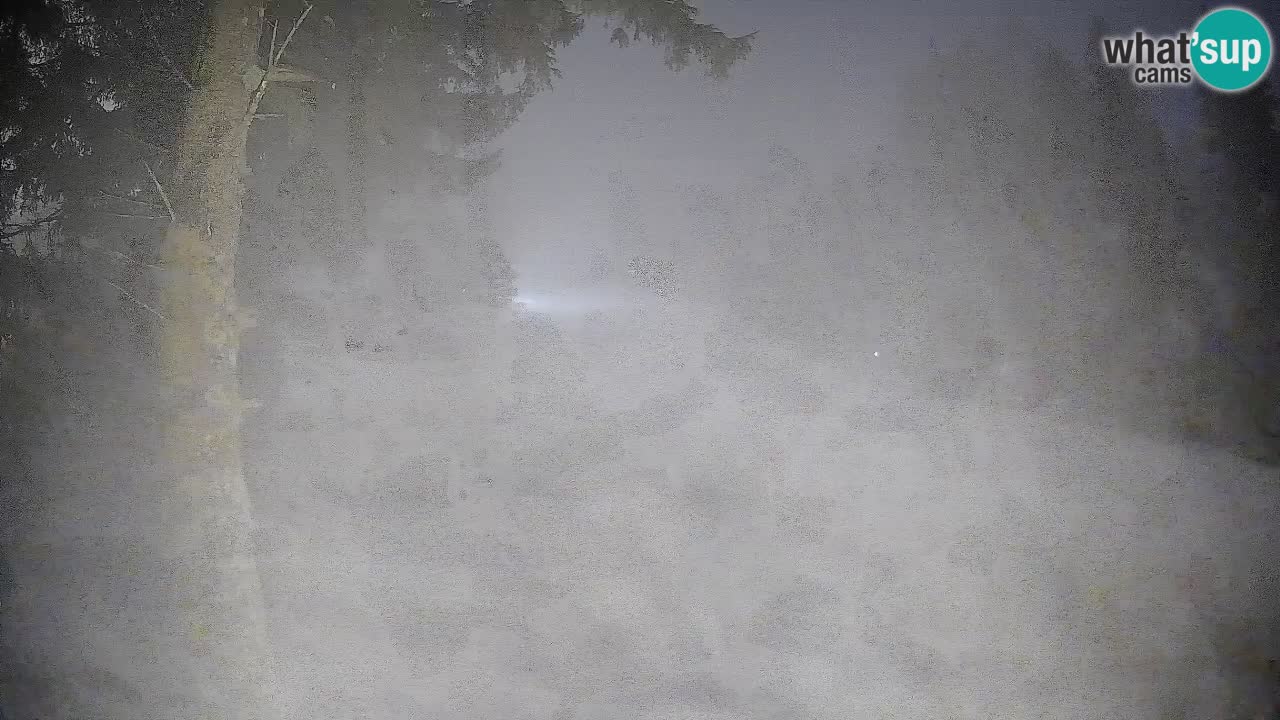 Trije Kralji – Črno jezero – Hotel Jakec