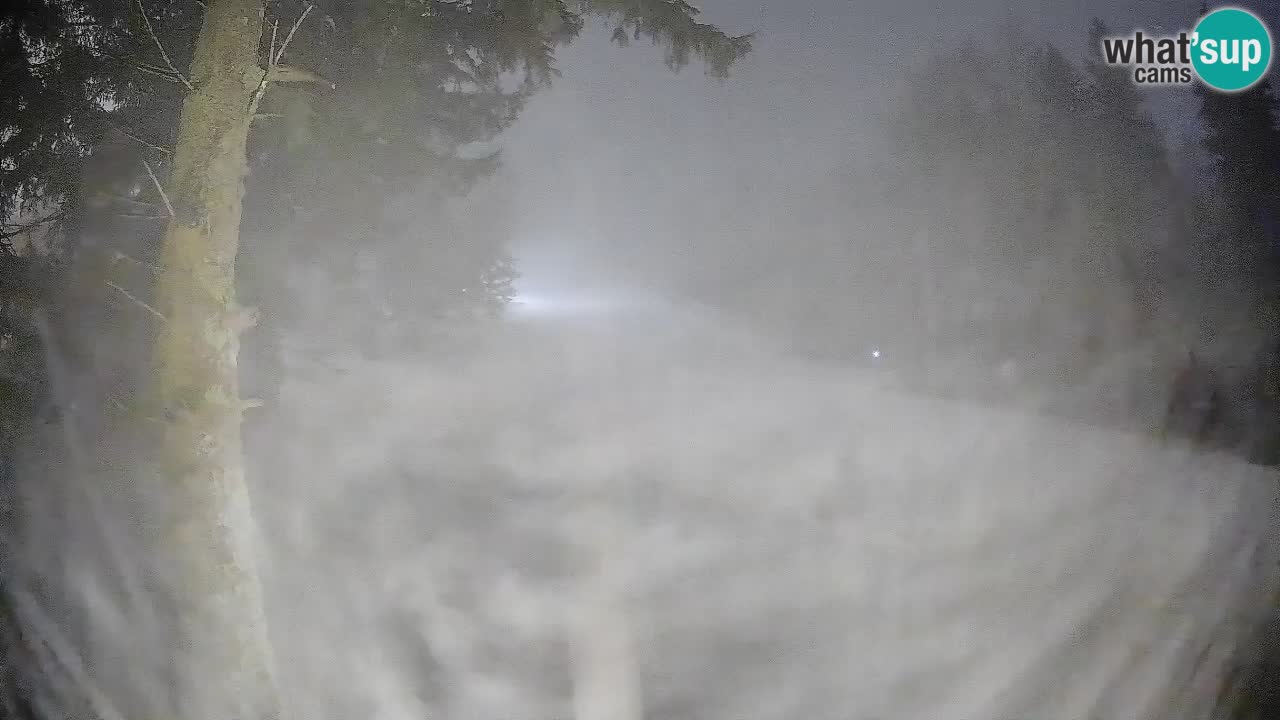 Trije Kralji – Črno jezero – Hotel Jakec