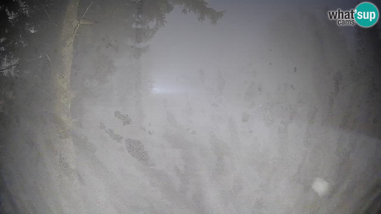 Kamera Trije Kralji – Črno jezero – Hotel Jakec