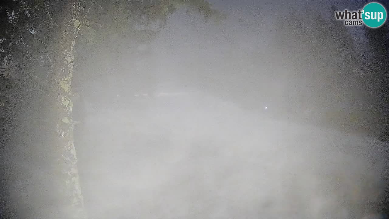 Trije Kralji – Črno jezero – Hotel Jakec