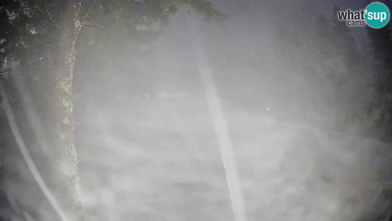 Trije Kralji – Črno jezero – Hotel Jakec