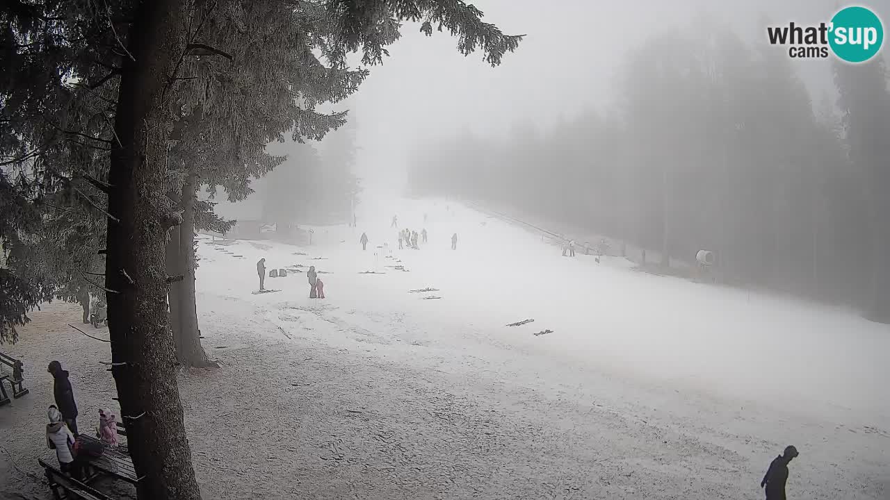 Trije Kralji – Črno jezero – Hotel Jakec