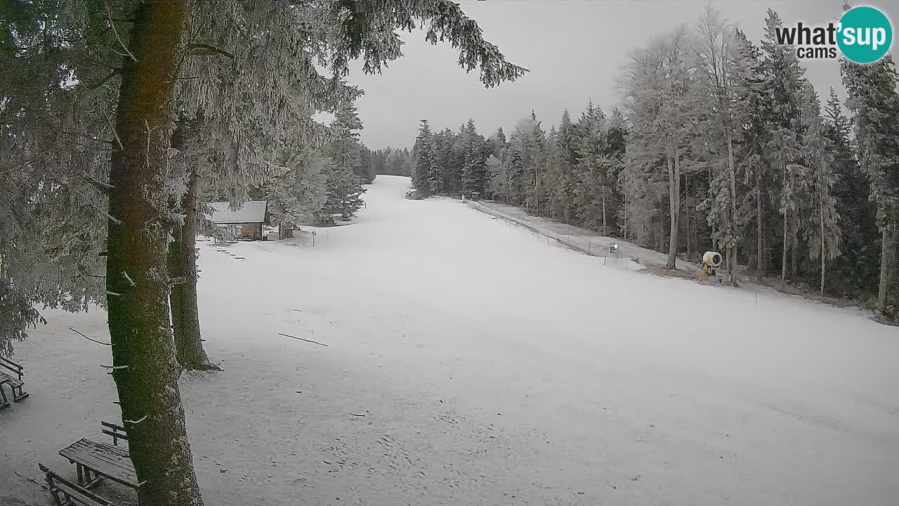 Trije Kralji – Črno jezero – Hotel Jakec