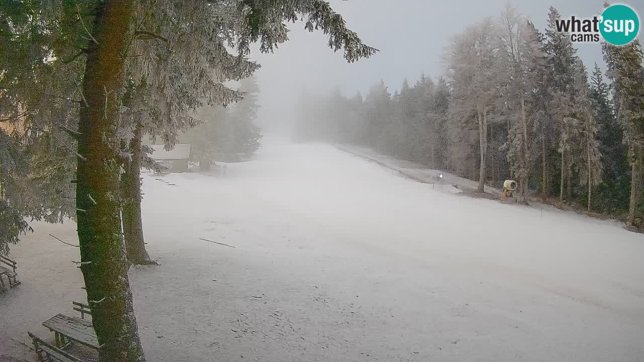 Trije Kralji – Črno jezero – Hotel Jakec