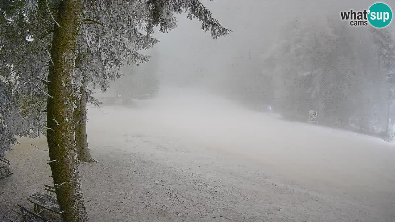 Trije Kralji – Črno jezero – Hotel Jakec