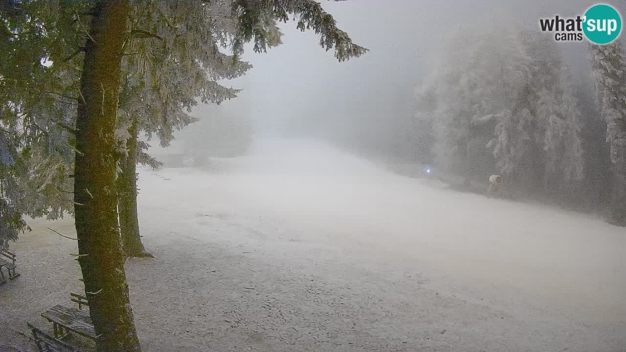 Trije Kralji – Črno jezero – Hotel Jakec