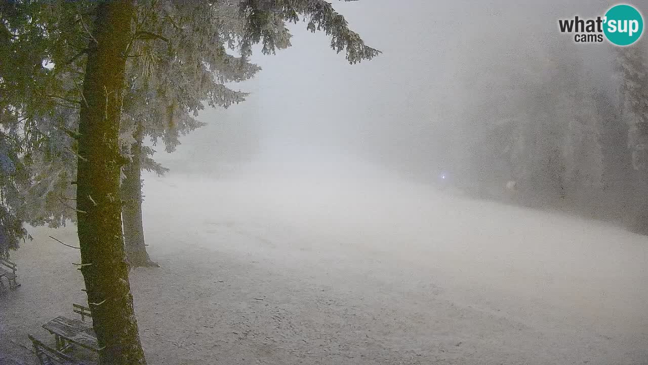 Trije Kralji – Črno jezero – Hotel Jakec