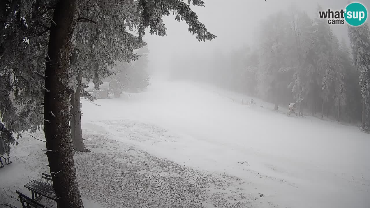 Trije Kralji – Črno jezero – Hotel Jakec