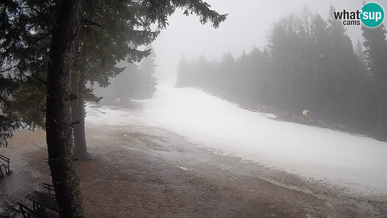 Trije Kralji – Črno jezero – Hotel Jakec