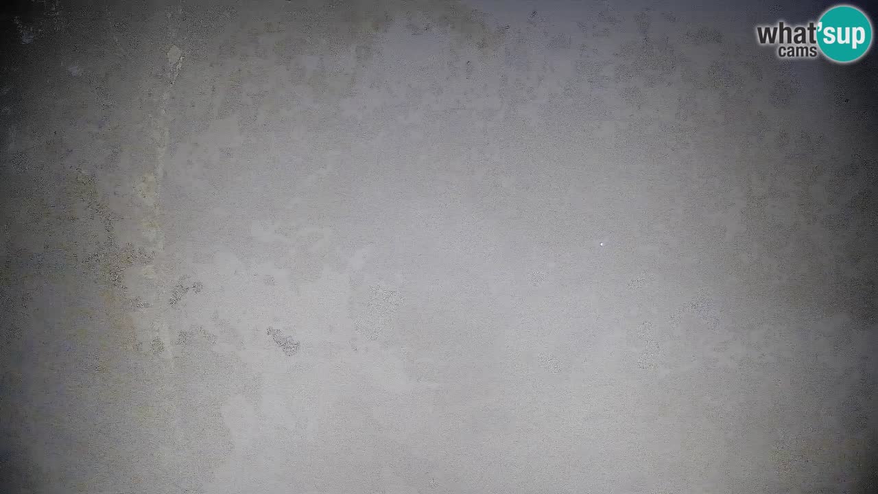 Trije Kralji – Črno jezero – Hotel Jakec