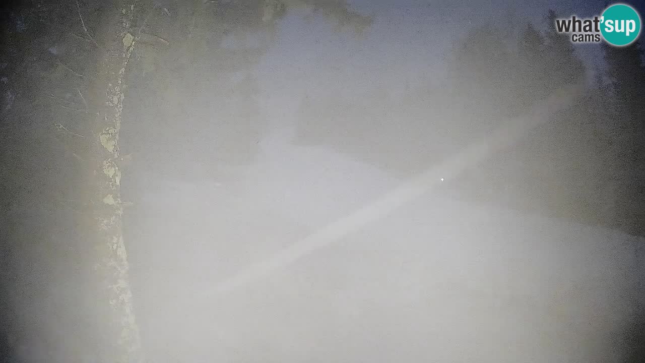 Trije Kralji – Črno jezero – Hotel Jakec