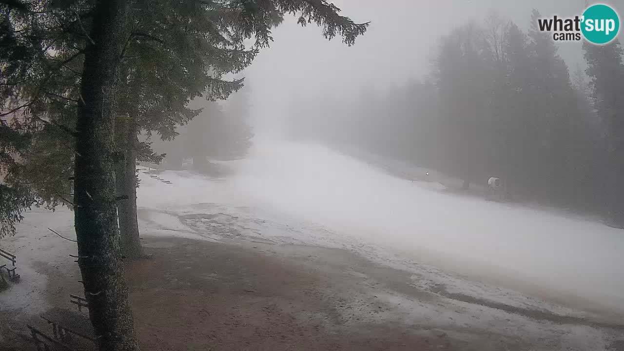 Trije Kralji – Črno jezero – Hotel Jakec