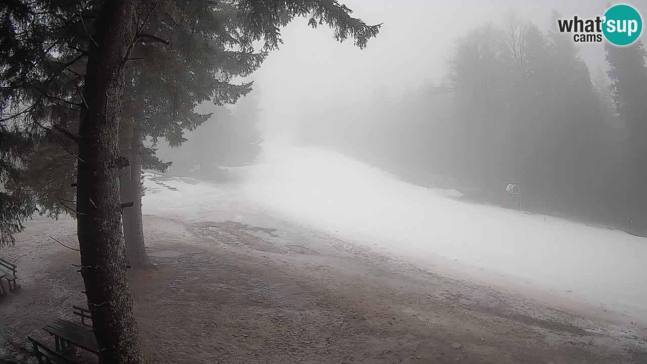 Trije Kralji – Črno jezero – Hotel Jakec