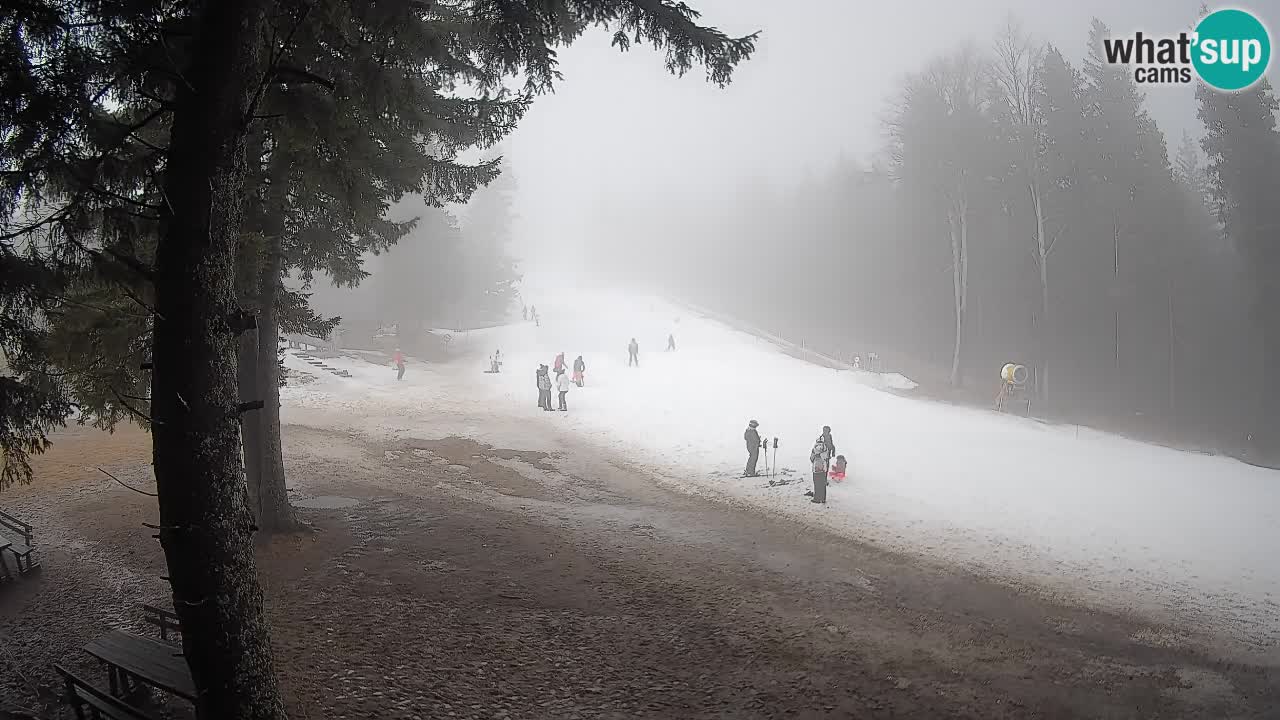 Trije Kralji – Črno jezero – Hotel Jakec