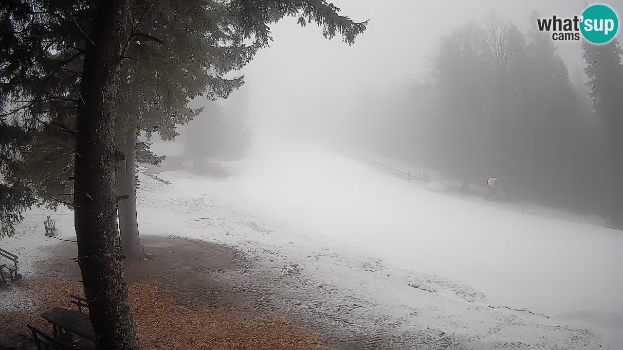 Trije Kralji – Črno jezero – Hotel Jakec