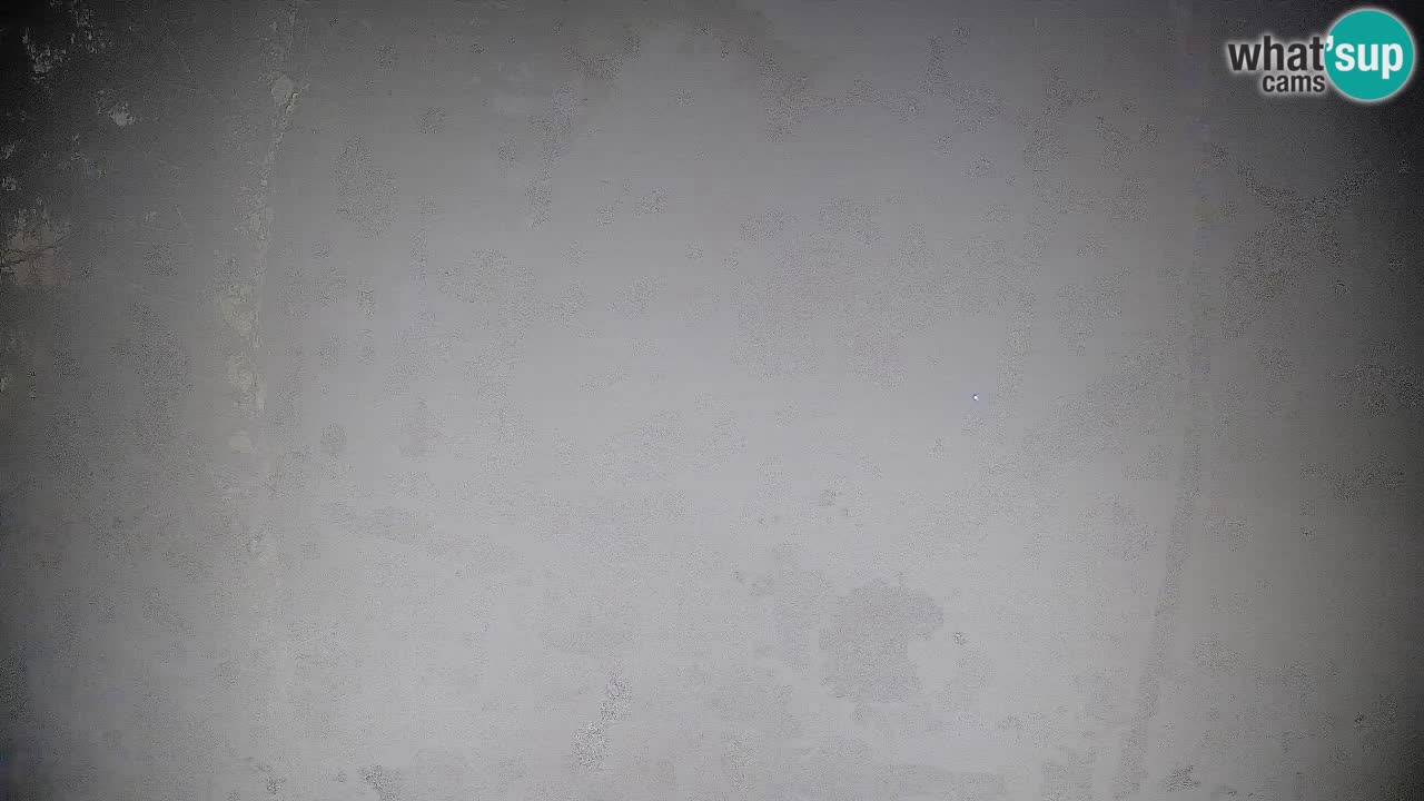 Trije Kralji – Črno jezero – Hotel Jakec