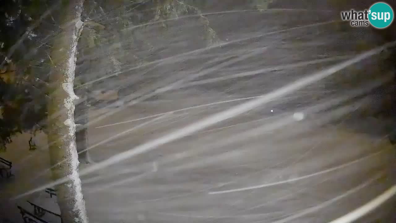 Trije Kralji – Črno jezero – Hotel Jakec