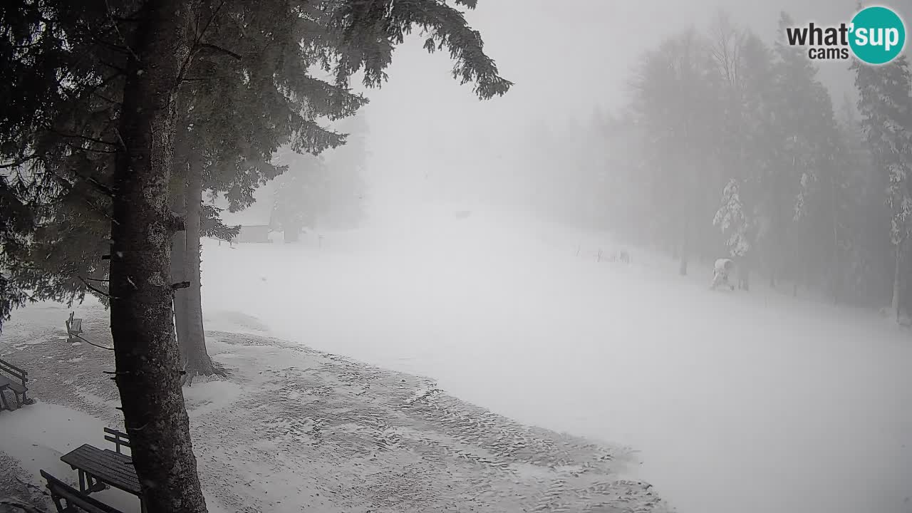 Trije Kralji – Črno jezero – Hotel Jakec