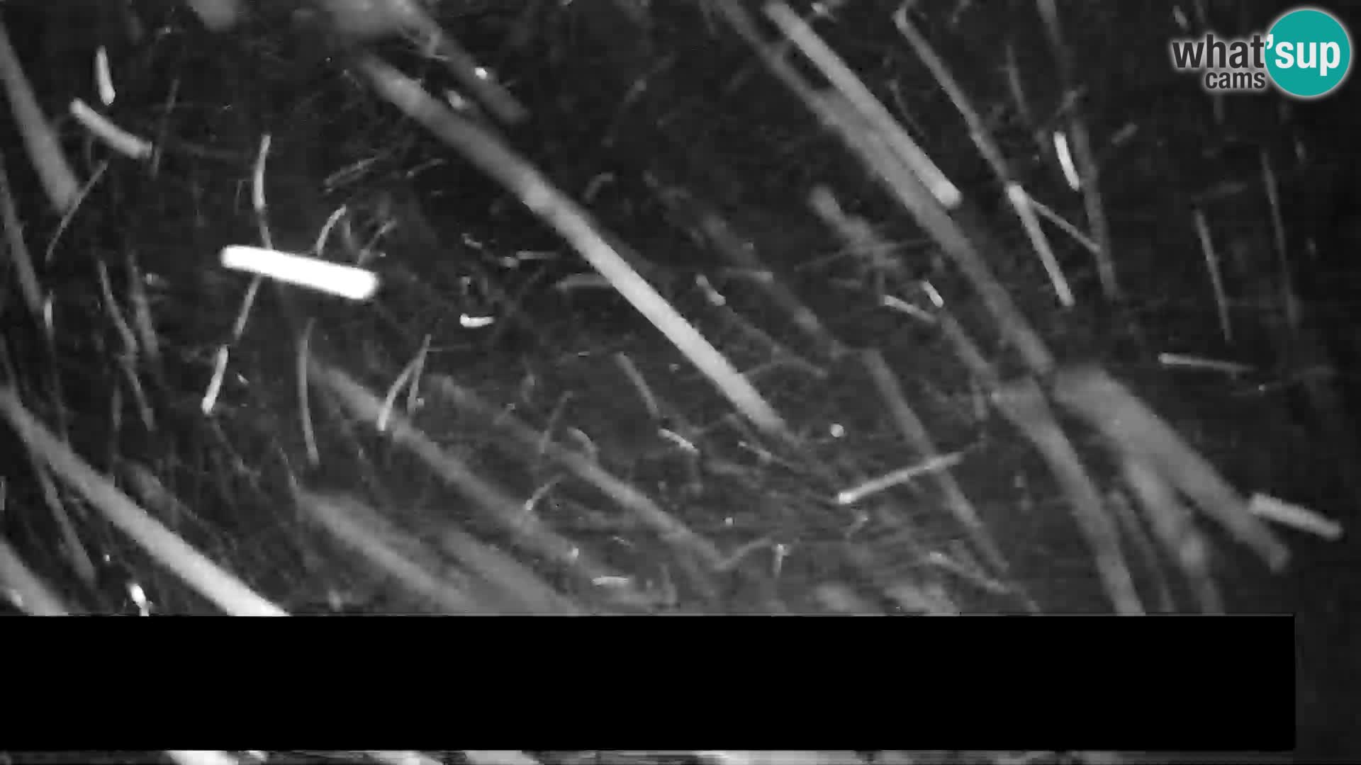 Webcam en direct Trije Kralji – Station de ski – Hôtel Jakec