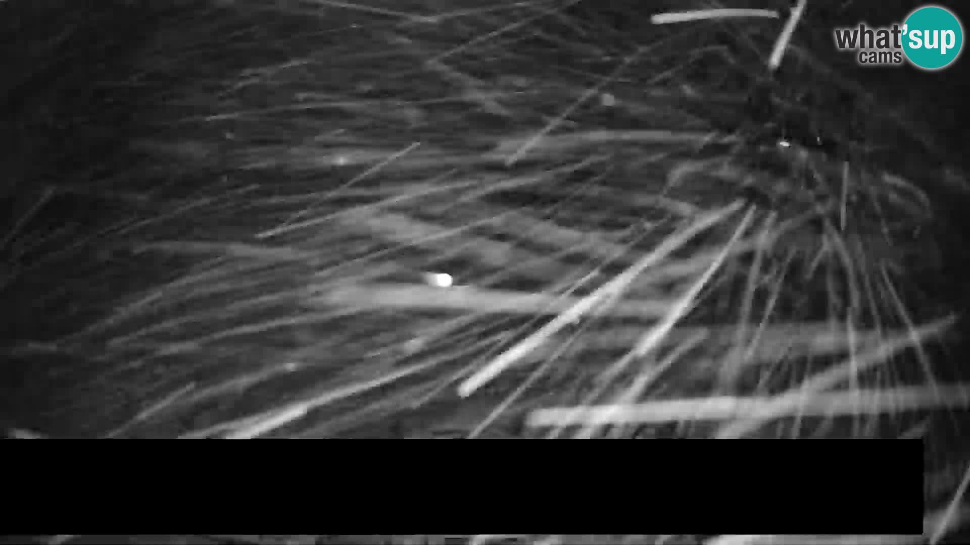 Webcam Trije Kralji – Veliki Vrh – Hotel Jakec