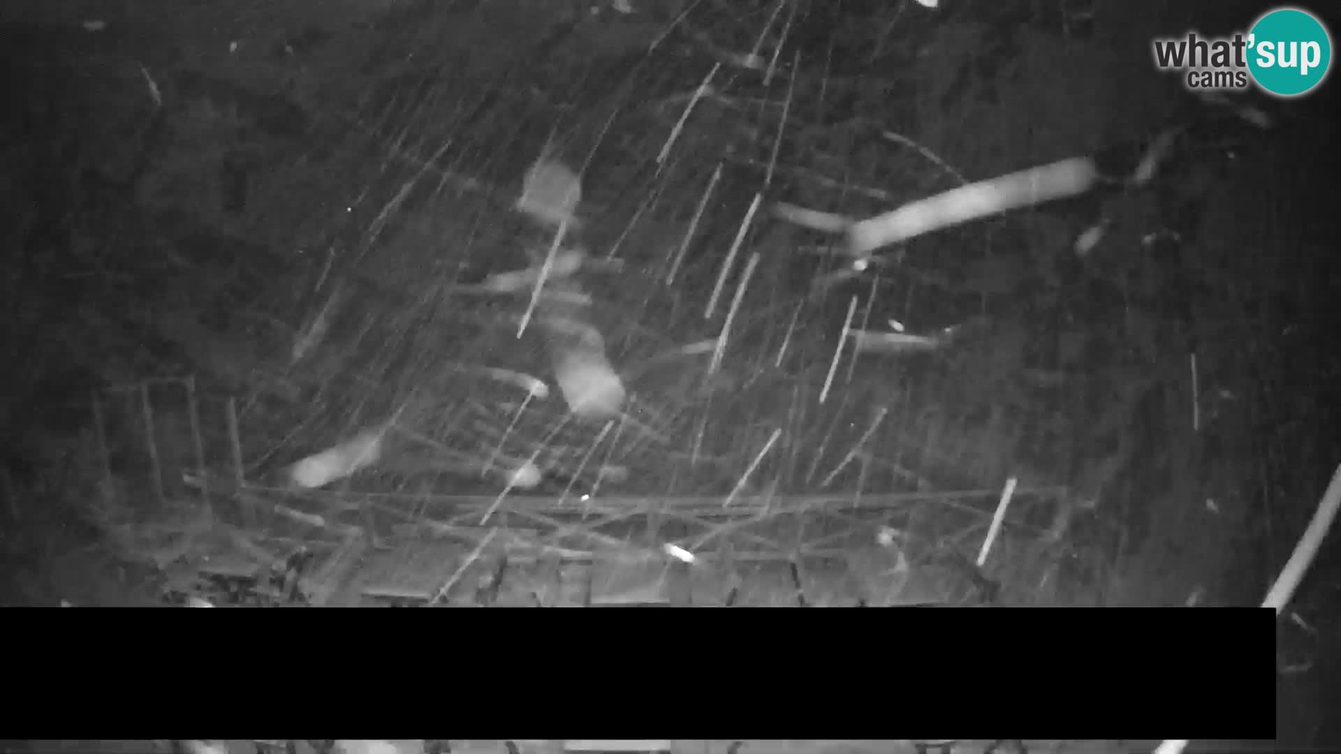 Webcam en direct Trije Kralji – Station de ski – Hôtel Jakec