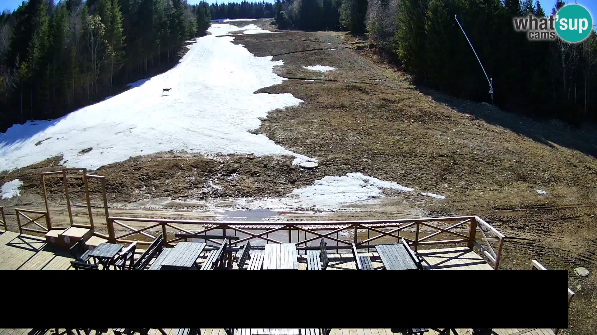 Spletna kamera Trije Kralji – Veliki Vrh – Hotel Jakec