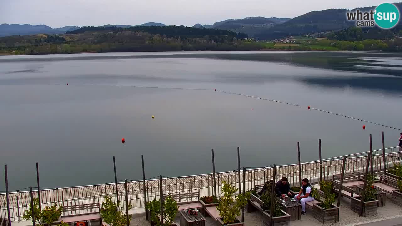 Webcam Lago di Velenje – Spiaggia di Velenje in diretta