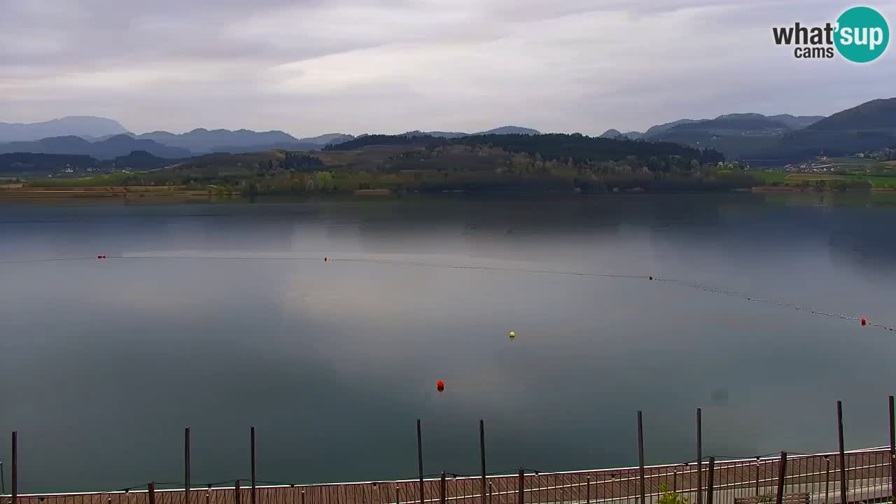 Velenje Lake Webcam – Live from Velenje Beach