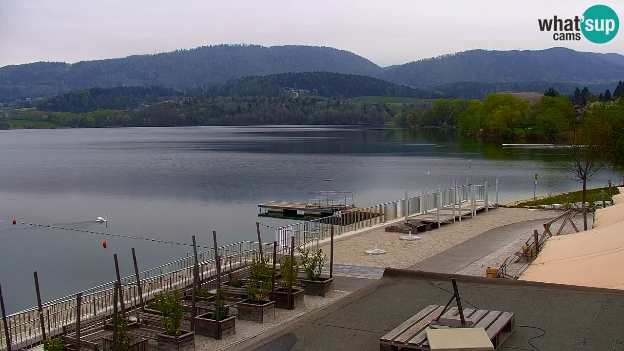Spletna kamera Velenjsko jezero – Pogled v živo z Velenjske plaže