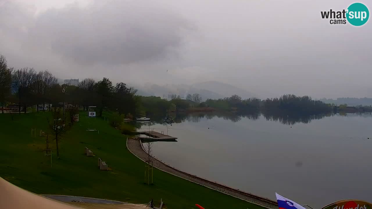 Webcam Lago di Velenje – Spiaggia di Velenje in diretta