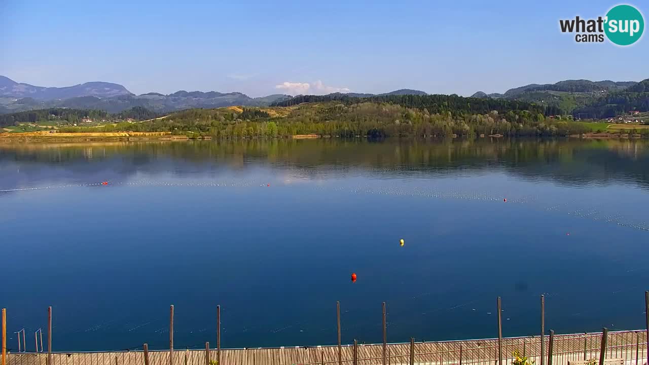 Webcam Lago di Velenje – Spiaggia di Velenje in diretta