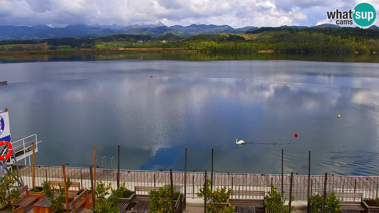 Velenje Lake Webcam – Live from Velenje Beach