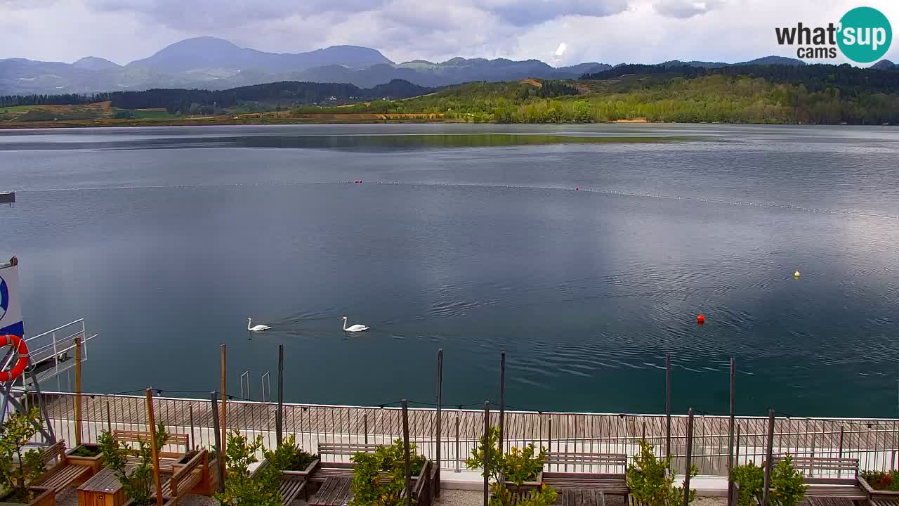 Velenje Lake Webcam – Live from Velenje Beach