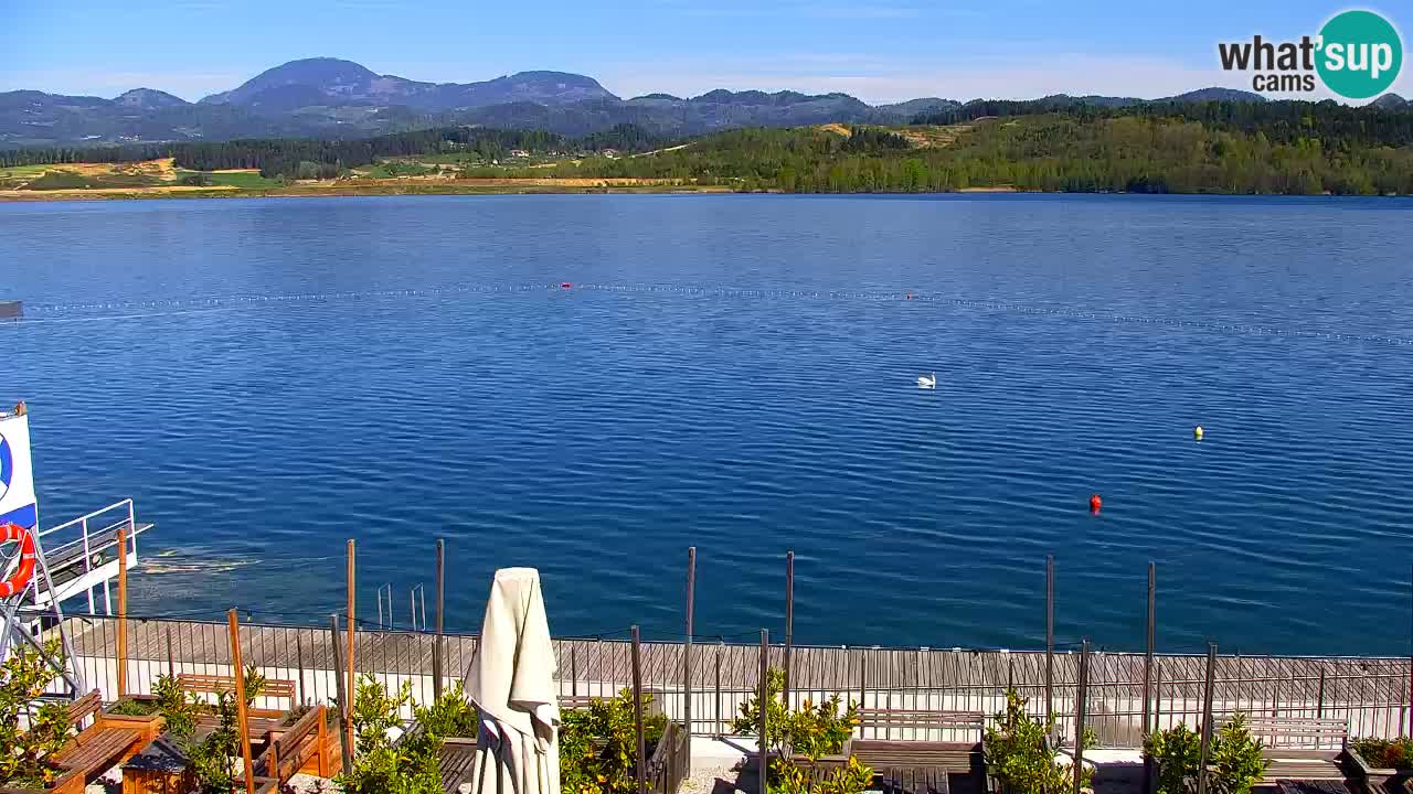 Velenje Lake Webcam – Live from Velenje Beach