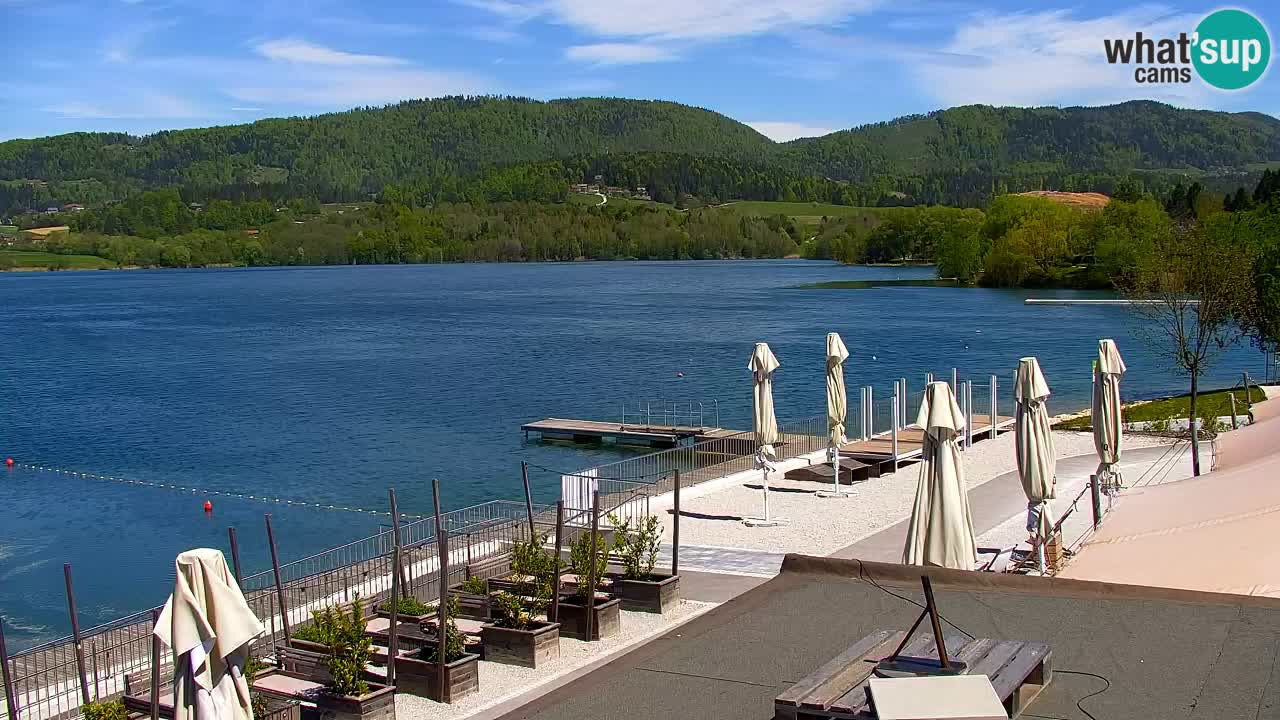 Velenje Lake Webcam – Live from Velenje Beach