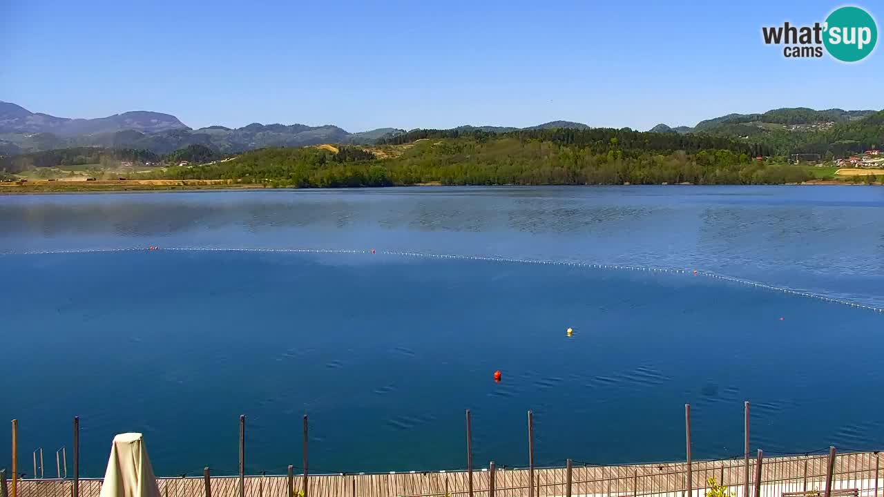 Webcam Lago di Velenje – Spiaggia di Velenje in diretta