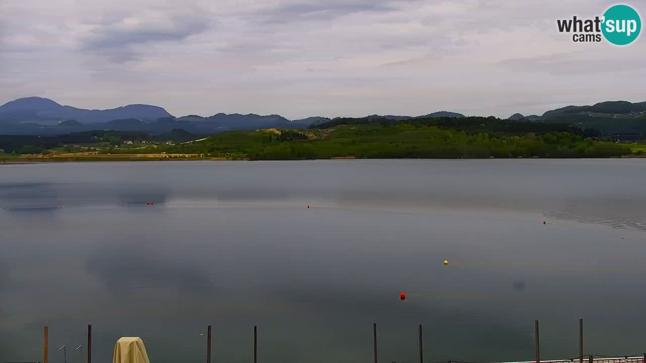 Spletna kamera Velenjsko jezero – Pogled v živo z Velenjske plaže