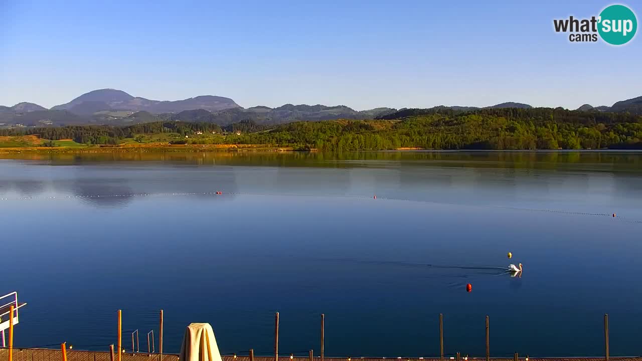 Velenje Lake Webcam – Live from Velenje Beach