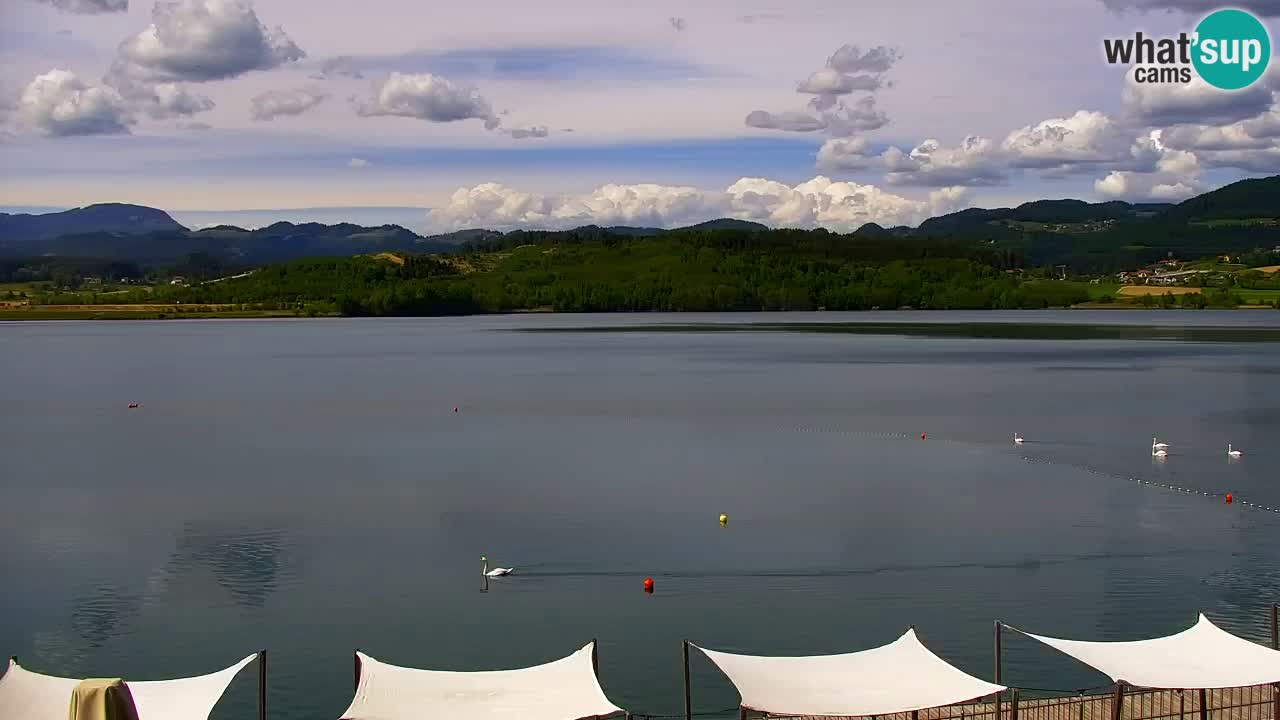 Velenje Lake Webcam – Live from Velenje Beach