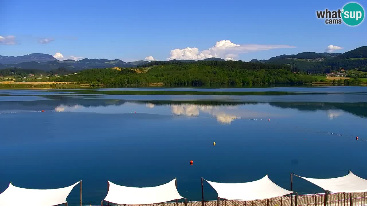 Webcam lac de Velenje – Vue en direct depuis Velenje Beach