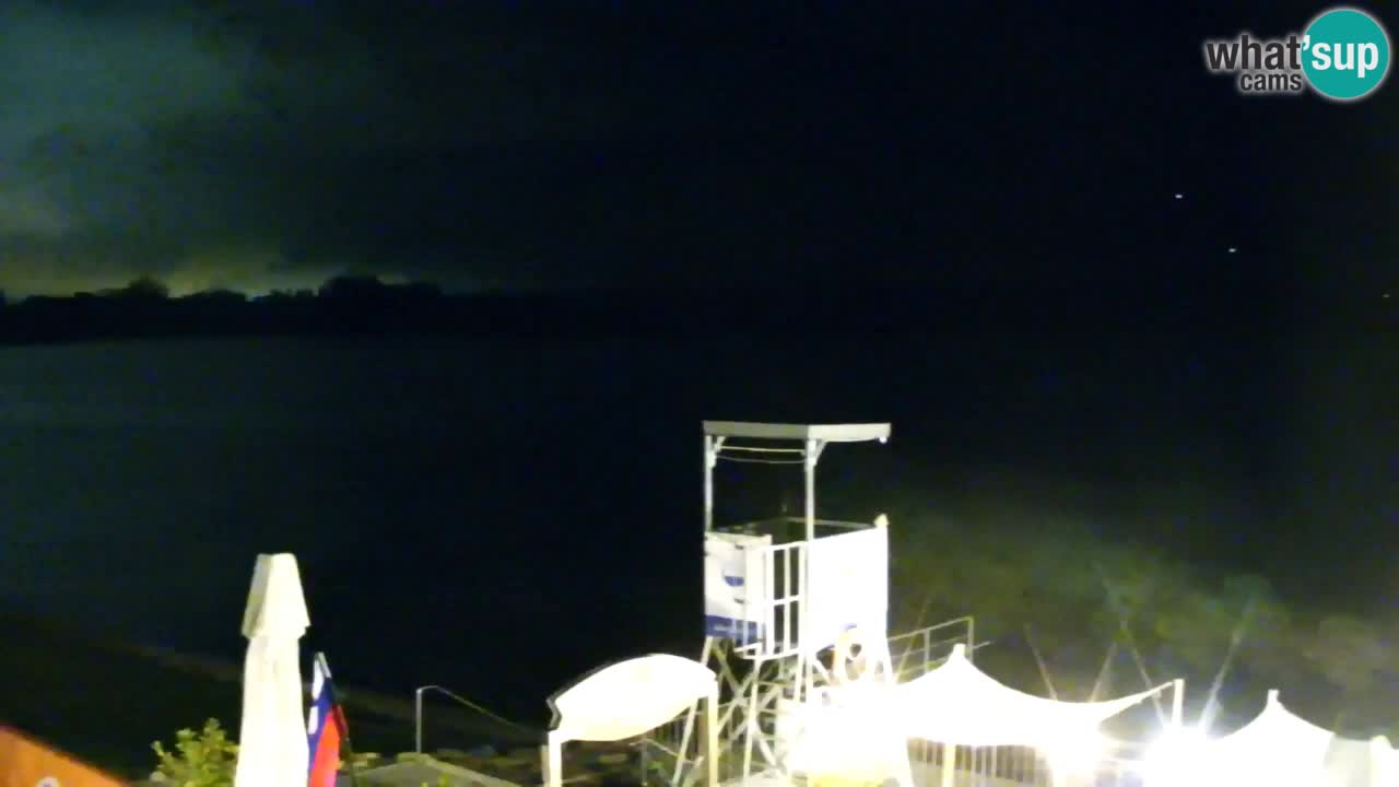 Velenje Lake Webcam – Live from Velenje Beach