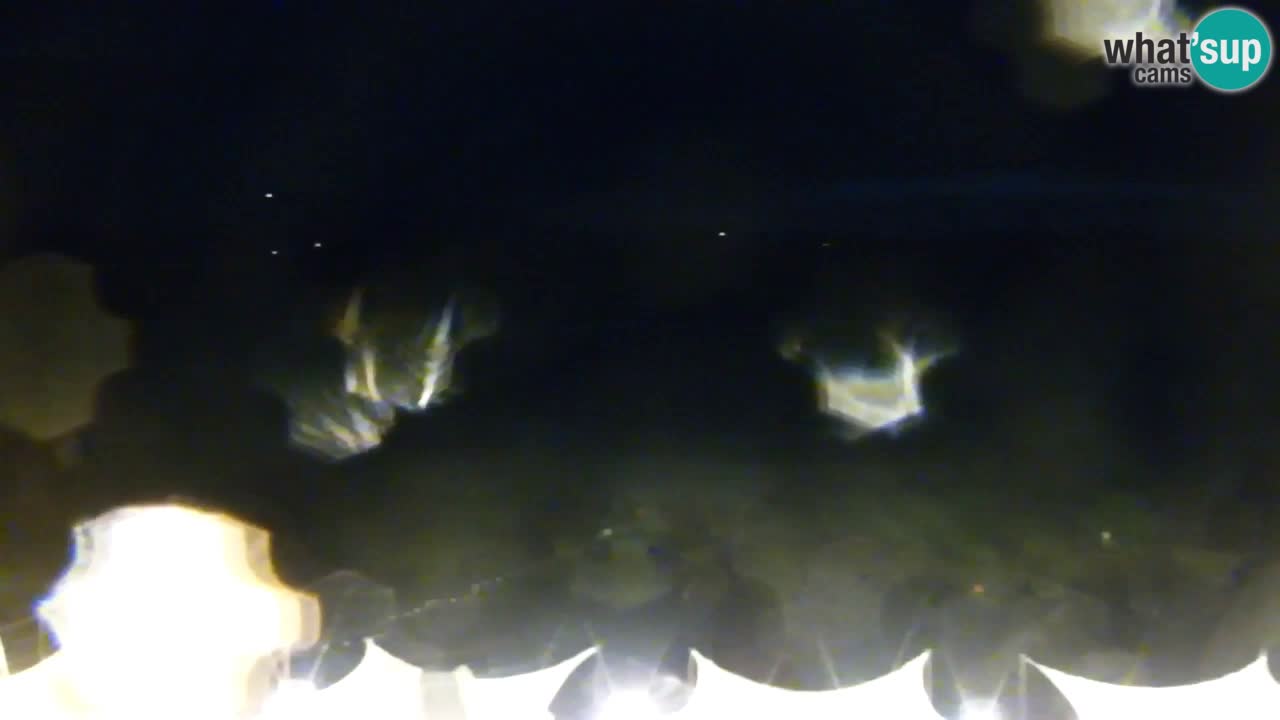 Velenje Lake Webcam – Live from Velenje Beach